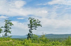 Village Corner Road lot: 5, Wolfeboro, NH 03894
