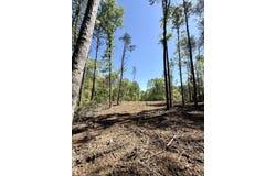 Thompson Road, Greer, SC 29651