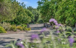 5885 Bruce Dr, Danville, CA 94506