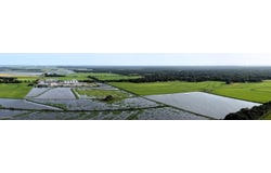 3670 E Stagg Avenue, Basile, LA 70515