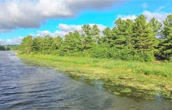 Beaver Meadow, Chaumont, NY 13622