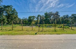 3533 JORDAN Road, DOVER, FL 33527