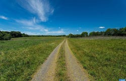 Block 4700 MIDLAND RD, MIDLAND, VA 22728