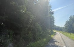 TRACTS 5-6 CARROLL HOLLOW Rd lot: 5,6, Waynesboro, TN 38485