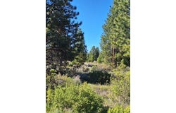 Shoreview Drive, Chiloquin, OR 97624