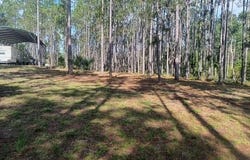 540 SW 326TH Avenue, STEINHATCHEE, FL 32359