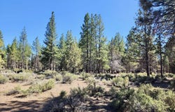 26400 Butte Creek Rd., MacDoel, CA 96058
