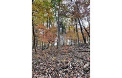3539 Red Oak Drive, Imperial, MO 63052