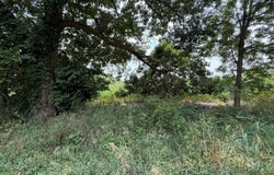 VL Cobb Road, Delton, MI 49046