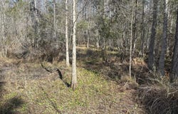 Old Grade Road, FL 33868