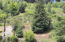 Upper 3rd St, Kellogg, ID 83837