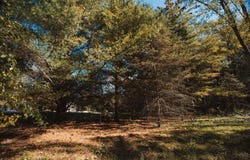 7A255 Tomahawk Lane, APPLE RIVER, IL 61001