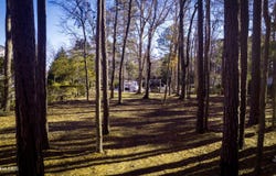 50 Gilgo Road, Oriental, NC 28571