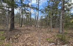 Farrar Road, Chester, VT 05143