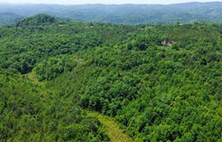 02 Little White Oak Rd., Duff, TN 37729