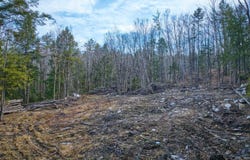 Hominy Pot Road, Sutton, NH 03260