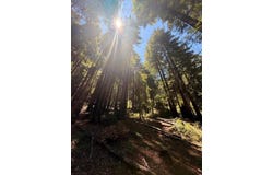 11837 Clear Creek RD, BROOKDALE, CA 95007