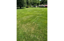 360 Crescent Dr, Washington, PA 15301
