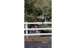 Anón, Ponce, PR 00731