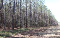 R18754 FM 1751, San Augustine, TX 75972