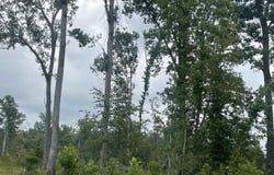 Holmes Bridge Road, Laurens, SC 29360