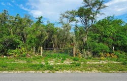 8115 Shasta Street, Webster, FL 33597