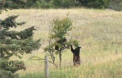 9 Moose Haven, Big Timber, MT 59052