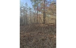 Murfreesboro, AR 71958