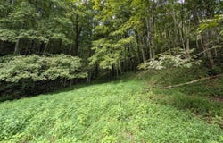 Stevens Branch Rd, Londonderry, OH 45647