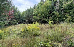 4716 Route 5, Sutton, VT 05867