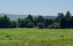 Wilbur Hill Rd, Butternuts, NY 13776