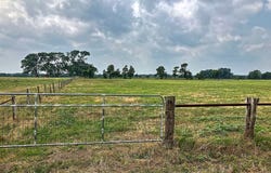 Neiser Lane, Weimar, TX 78962