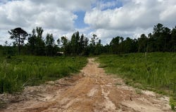 Attala Rd 5235, McCool, MS 39108