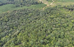 OAK RIDGE Rd, Fayette, AL 35555