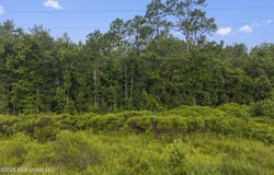 Spring Briar Trail lot: 16, Saucier, MS 39574