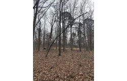 Edge Road, Clinton, AR 72031