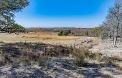 Bauer Rummel, Round Top, TX 78954