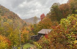 1085 Spring Branch Road, Jeremiah, KY 41826