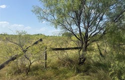 140 Arapaho Road, Brownwood, TX 76801