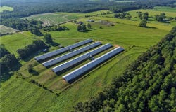 5077 Eason Road, Florala, AL 36442