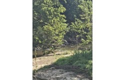 Reaves Road, Hartville, MO 65711