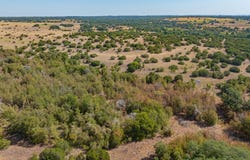 CR 247, Hico, TX 76457