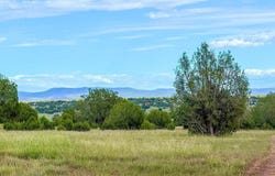 Rocky Hill Rd Lot C 10 Acres, Ash Fork, AZ 86320