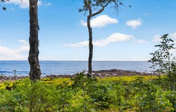 42 Thaxter Lane, Kittery, ME 03905