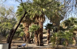 Gold Butte Road, NV 89007