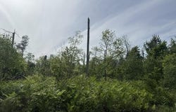 Parcel 2 Nelson Road, Idlewild, MI 49642