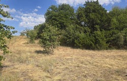 242513 E 590 RD, Longdale, OK 73755