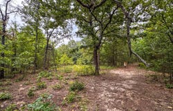 Acorn Rd, Ravenden, AR 72459