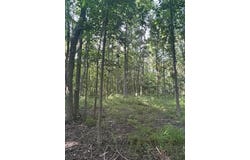 5387 Dildine Road, Delaware, OH 43015