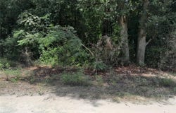 SE 108TH Terrace, MORRISTON, FL 32668